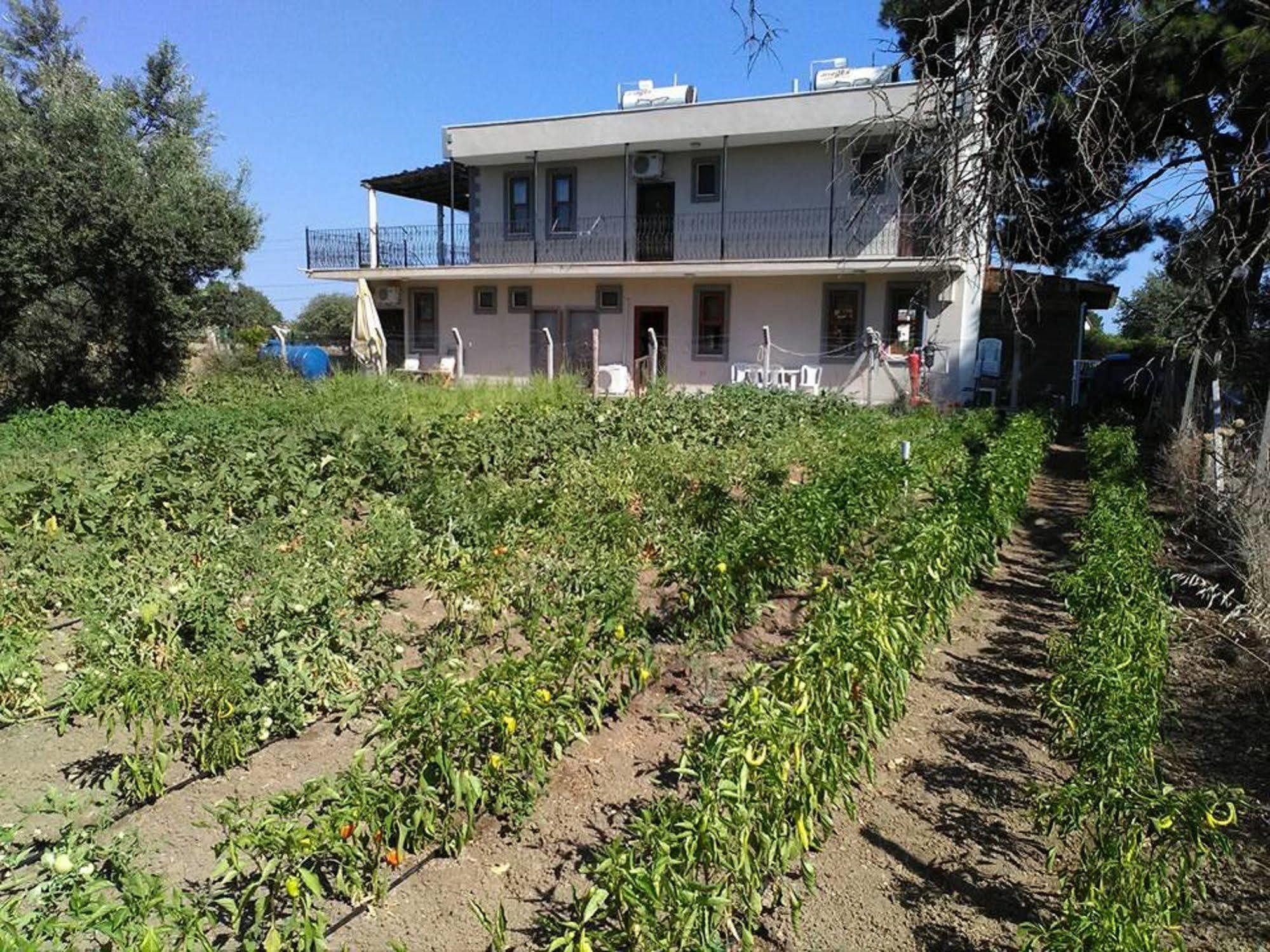 Geyikli Herrara Exterior photo